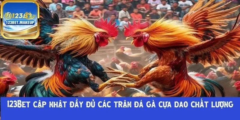 đá gà cựa dao chất lượng
