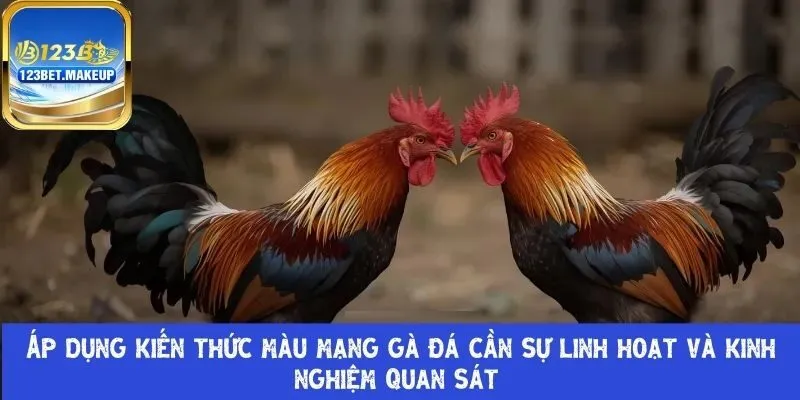 Áp dụng kiến thức màu mạng gà 