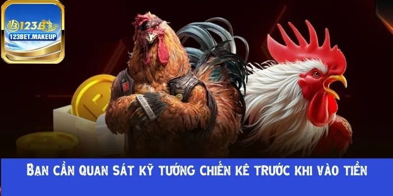 Bạn cần quan sát kỹ tướng