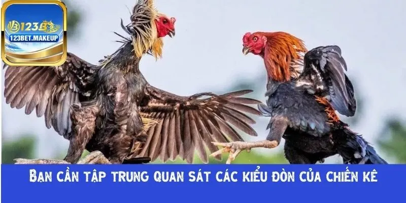 các kiểu đòn của chiến kê