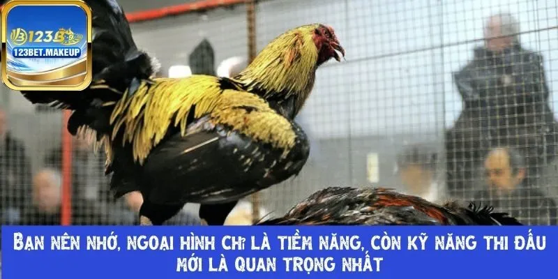 Bạn nên nhớ, ngoại hình 