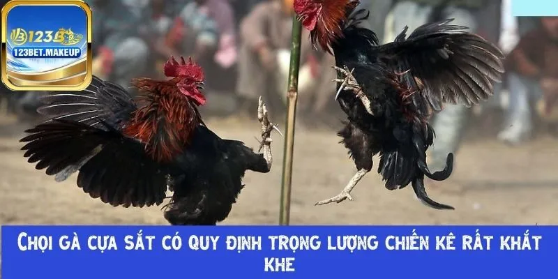 Chọi gà cựa sắt