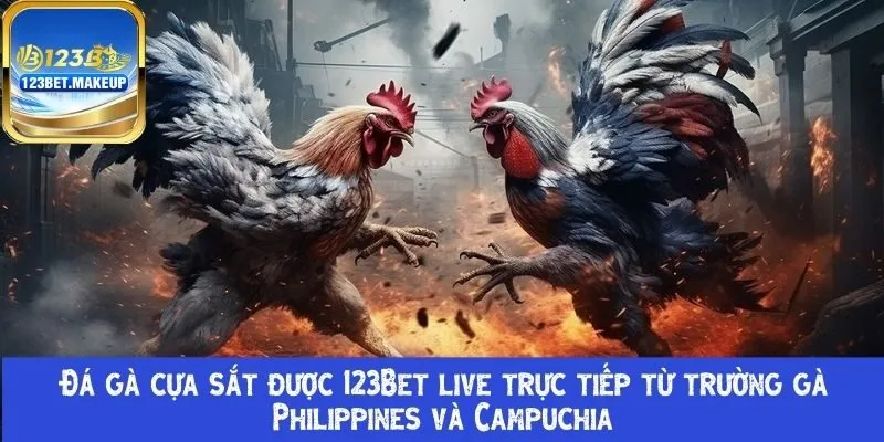 Đá gà cựa sắt được 123Bet live