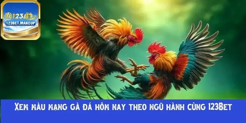 màu mạng gà đá hôm nay
