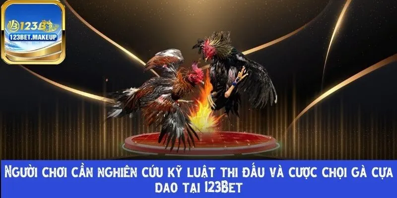 cược chọi gà cựa dao tại 123Bet